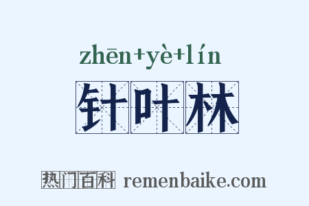 针叶林是什么意思的图片
